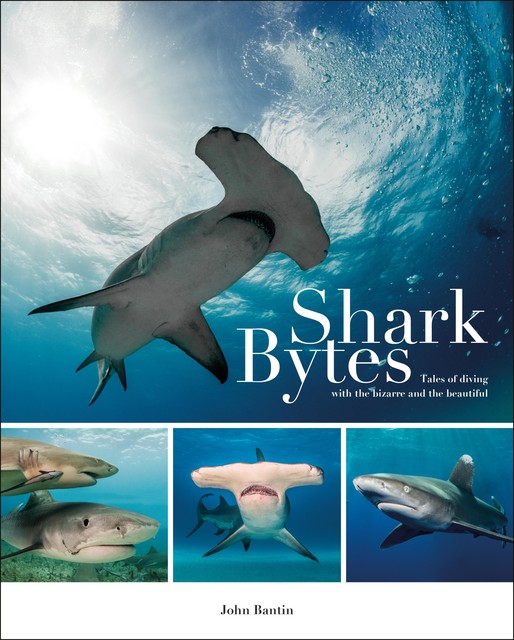 Shark Bytes, John Bantin