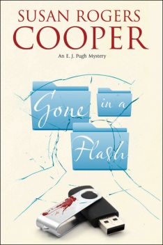 Gone in a Flash, Susan Rogers Cooper