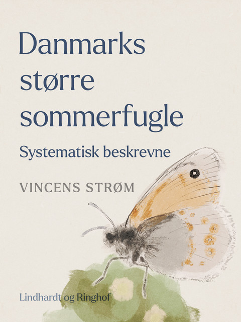 Danmarks større sommerfugle. Systematisk beskrevne, Vincens Strøm
