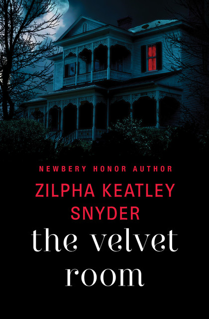 The Velvet Room, Zilpha K Snyder