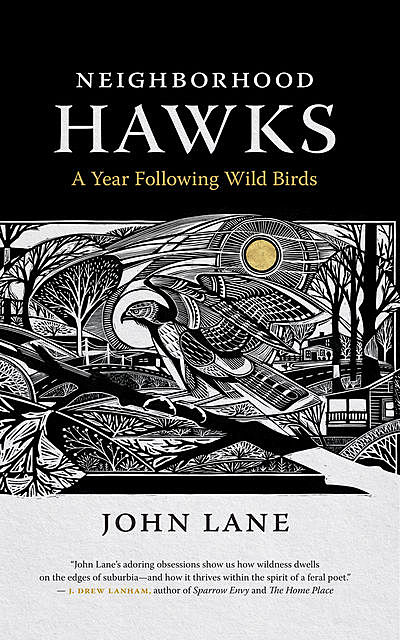 Neighborhood Hawks, John Lane