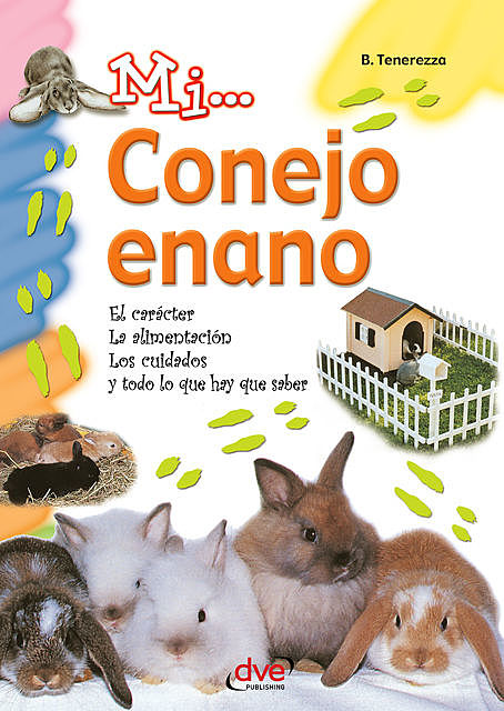 Mi… Conejo enano, Bruno Tenerezza