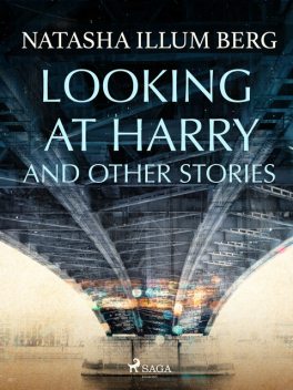 Looking at Harry and Other Stories, Natasha Illum Berg