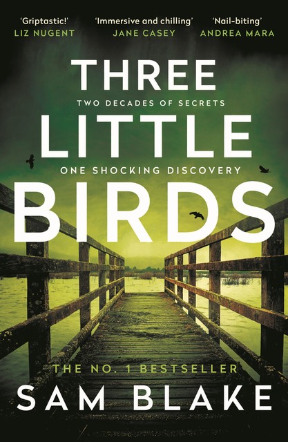 Three Little Birds, Sam Blake