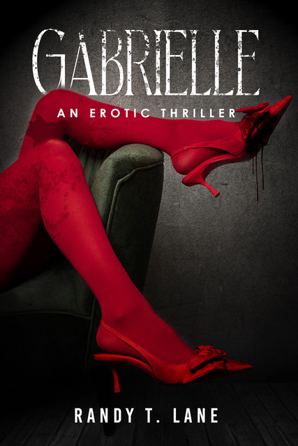 Gabrielle: An Erotic Thriller, Randy T. Lane