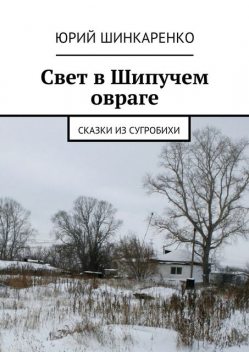 Свет в Шипучем овраге, Юрий Шинкаренко