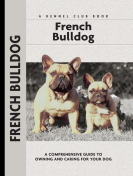 The French Bulldog, Muriel P. Lee