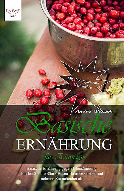 Basische Ernährung für Einsteiger, André Wilczek