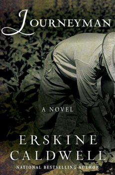 Journeyman, Caldwell Erskine