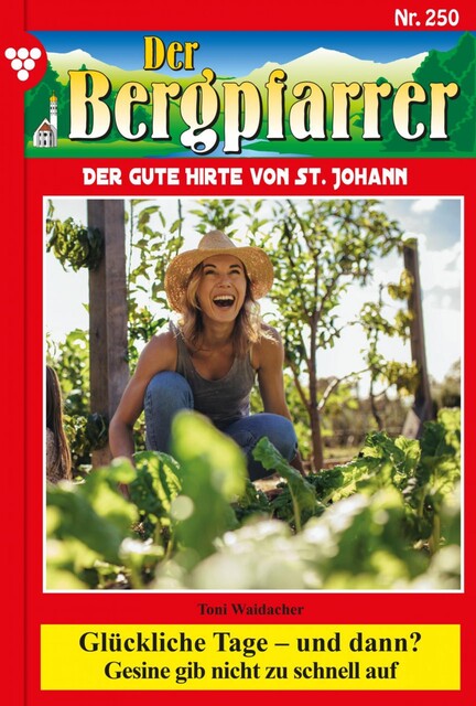 Der Bergpfarrer 250 – Heimatroman, Toni Waidacher