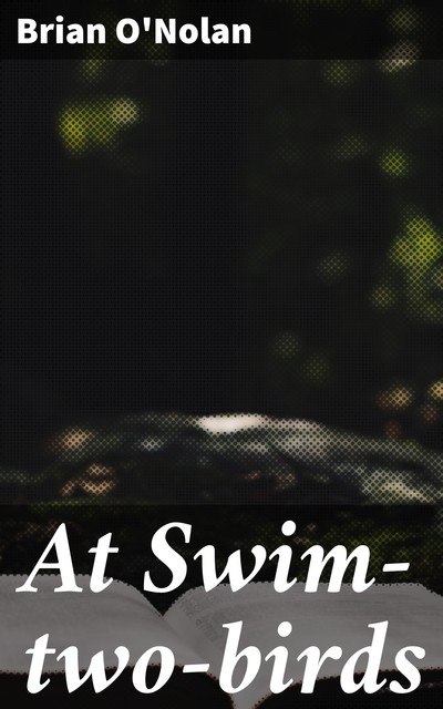 At Swim-Two-Birds, Flann O'Brien