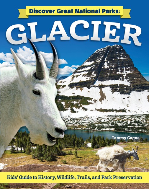 Discover Great National Parks: Glacier, Tammy Gagne