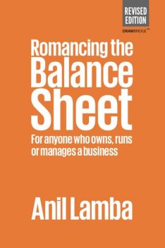 Romancing The Balance Sheet, Anil Lamba