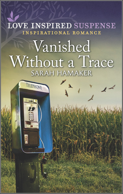 Vanished Without a Trace, Sarah Hamaker