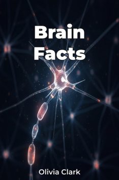 Brain Facts, Olivia Clark