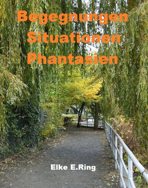 Begegnungen Situationen Phantasien, Elke E. Ring