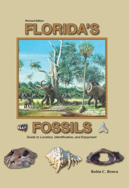 Florida's Fossils, Robin Brown