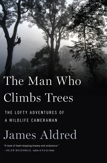 The Man Who Climbs Trees, James Aldred