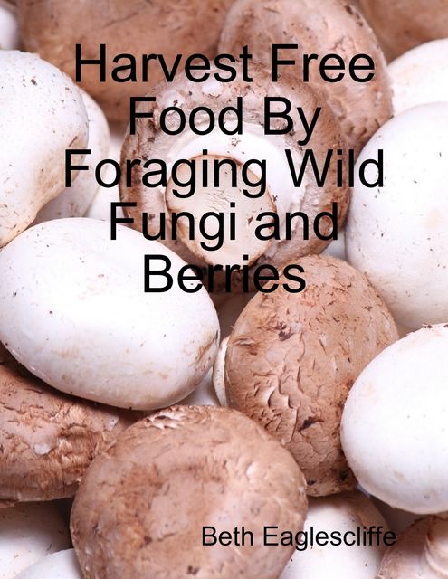Harvest Free Food By Foraging Wild Fungi and Berries, Beth Eaglescliffe