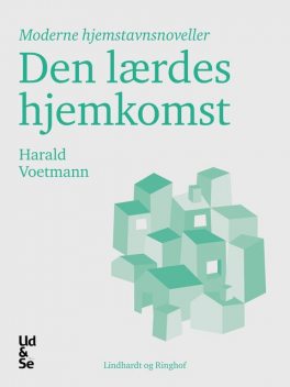 Den lærdes hjemkomst, Harald Voetmann