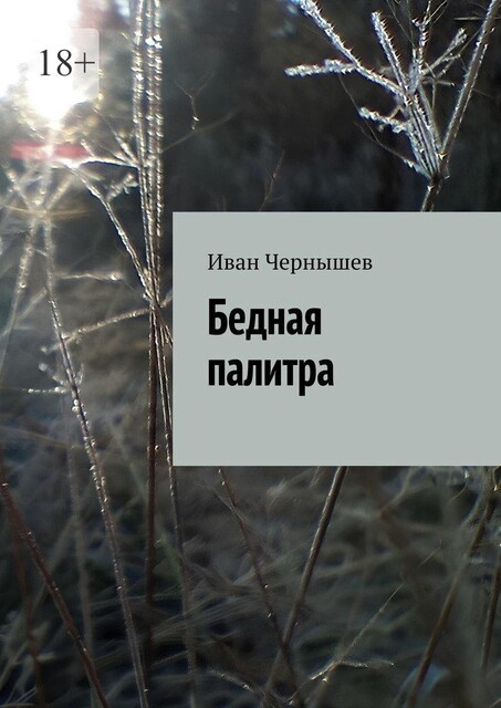 Бедная палитра, Иван Чернышев