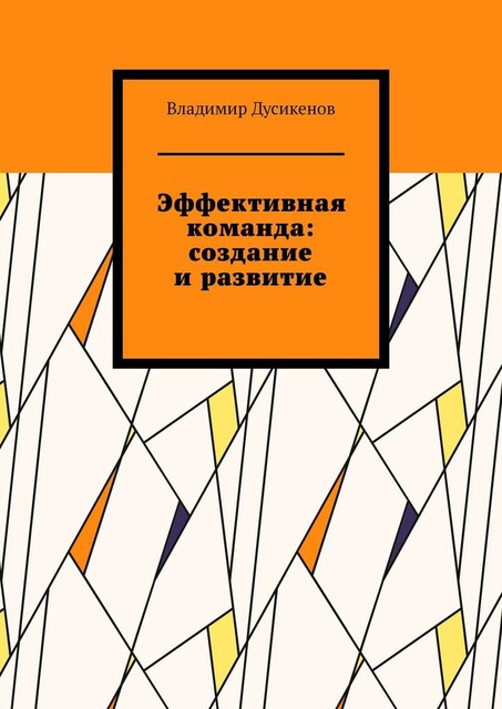 Эффективная команда: создание и развитие, Владимир Дусикенов