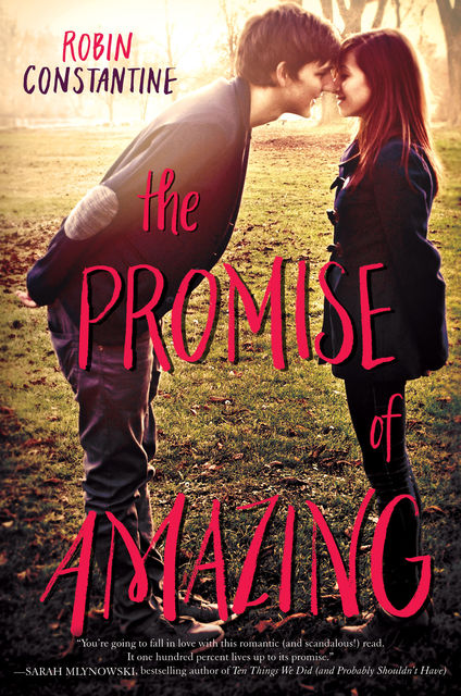 The Promise of Amazing, Robin Constantine