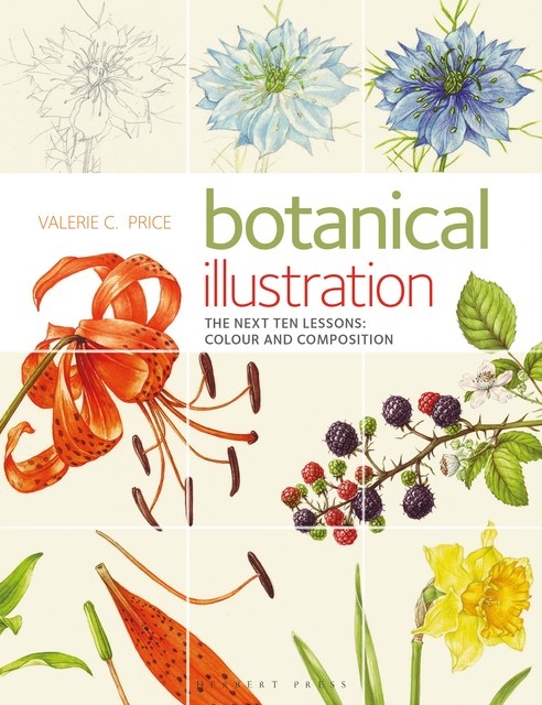 Botanical Illustration The Next Ten Lessons: Colour and Composition, Valerie Price