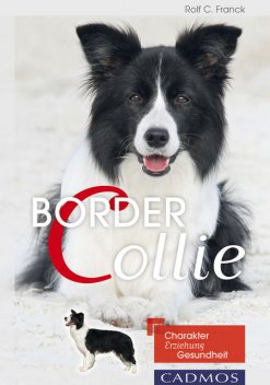 Border Collie, Rolf C. Franck