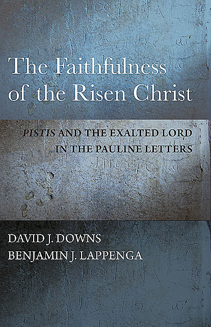 The Faithfulness of the Risen Christ, David Downs, Benjamin J. Lappenga