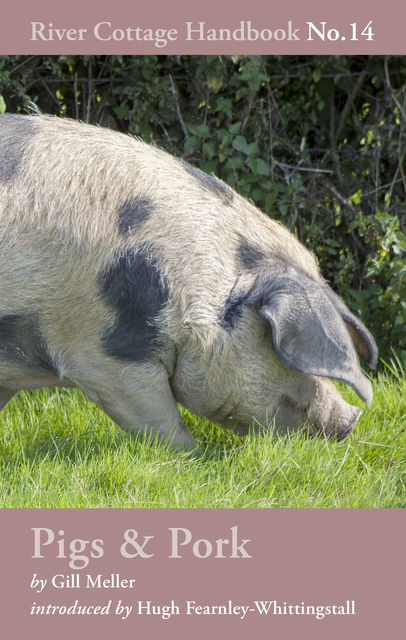 Pigs & Pork, Gill Meller