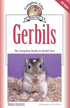 Gerbils, Donna Anastasi