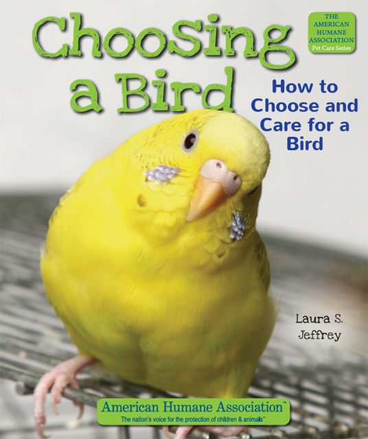 Choosing a Bird, Laura S.Jeffrey