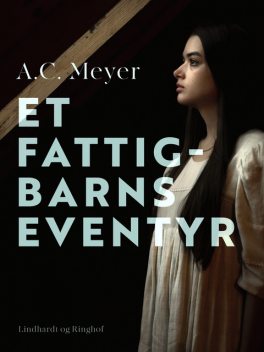 Et fattigbarns eventyr, A.C. Meyer