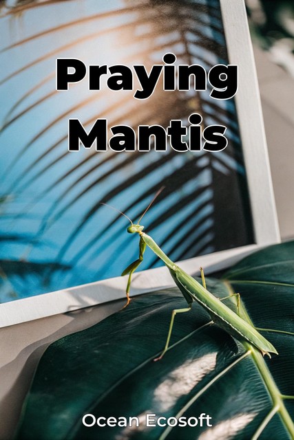 Praying Mantis, Ocean Ecosoft