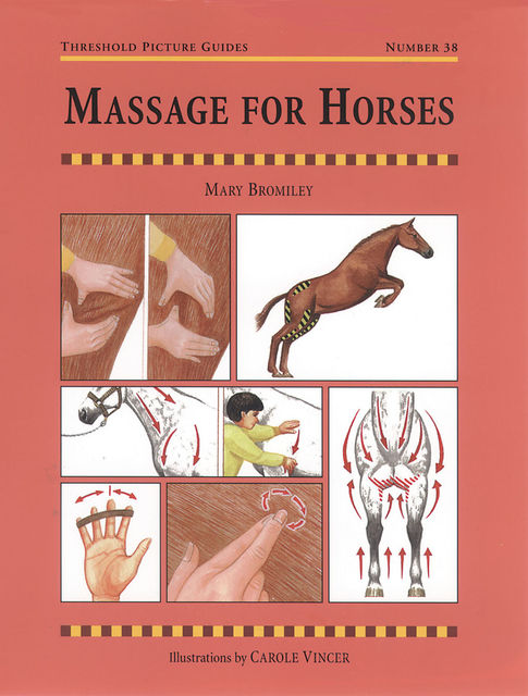 MASSAGE FOR HORSES, MARY BROMLEY