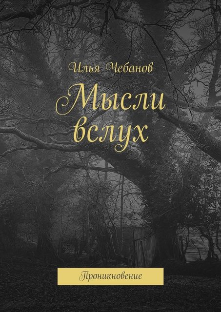Мысли вслух. Проникновение, Илья Чебанов