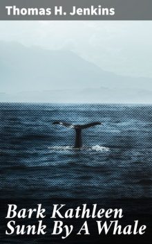 Bark Kathleen Sunk By A Whale, Thomas H.Jenkins