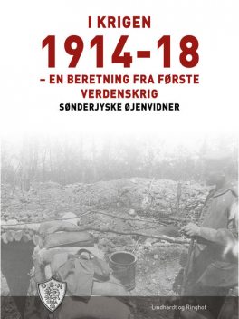I krigen 1914–18, Sønderjyske Øjenvidner