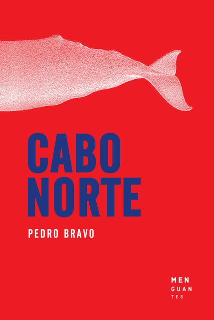 Cabo Norte, Pedro Bravo Aguilar