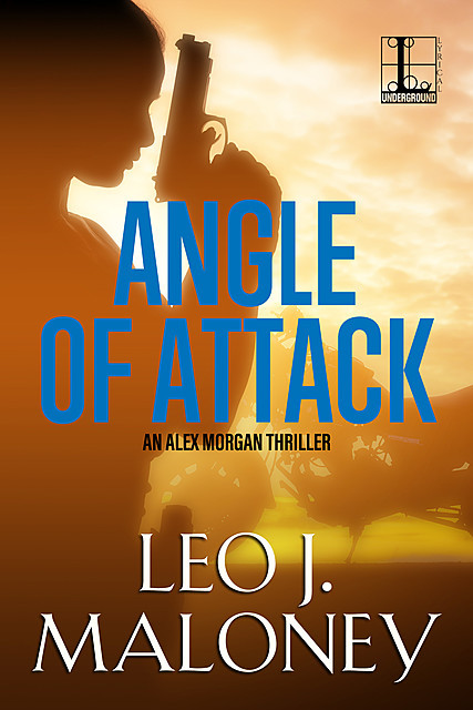 Angle of Attack, Leo J. Maloney