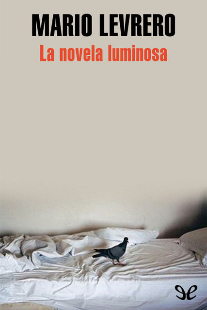 La novela luminosa, Mario Levrero