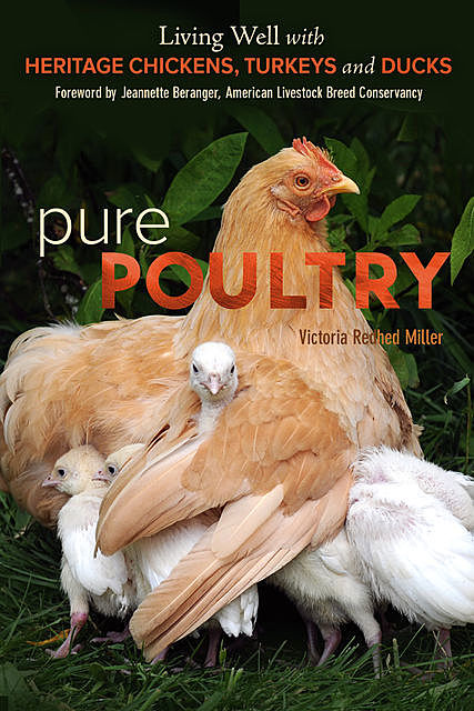 Pure Poultry, Victoria Redhed Miller