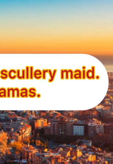 The Illustrious Mop, Miguel de Cervantes Saavedra