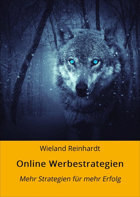 Online Werbestrategien, Wieland Reinhardt
