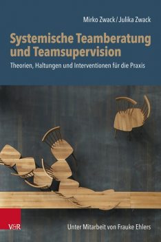 Systemische Teamberatung und Teamsupervision, Julika Zwack, Mirko Zwack