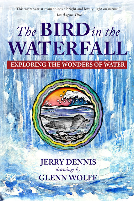 The Bird in the Waterfall, Jerry Dennis