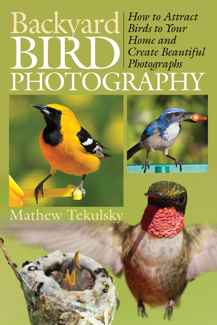 Backyard Bird Photography, Mathew Tekulsky