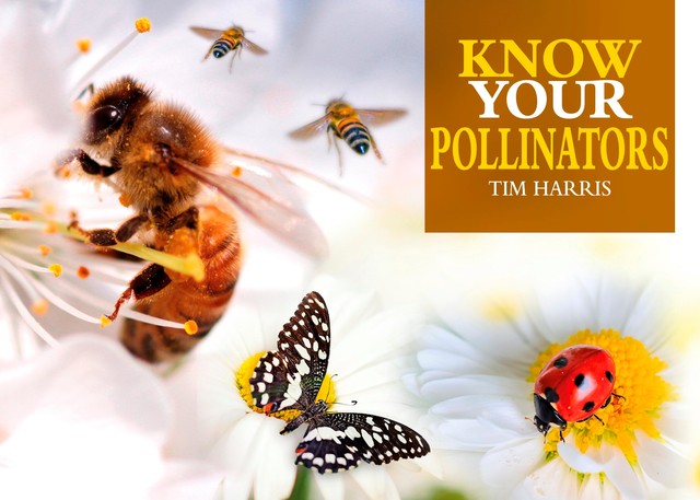 Know Your Pollinators, Tim Harris