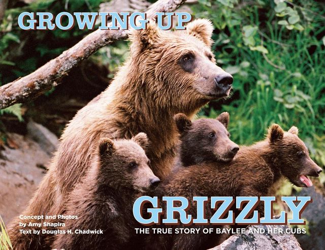Growing Up Grizzly, Amy Shapira, Douglas Chadwick